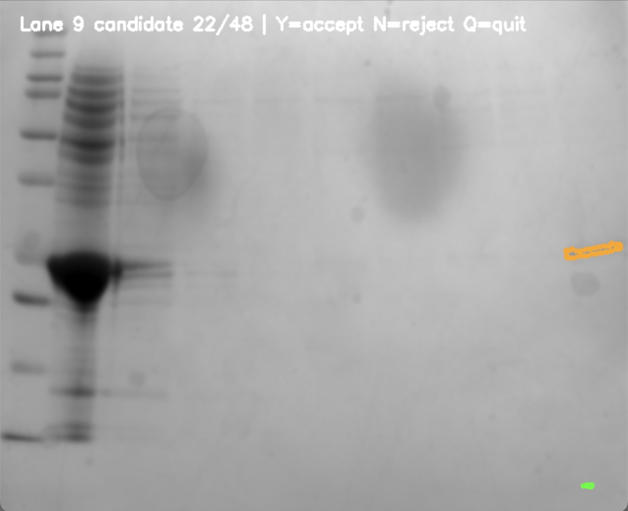 SSPQ candidate-review interface — Lane 9, candidate 22 of 48